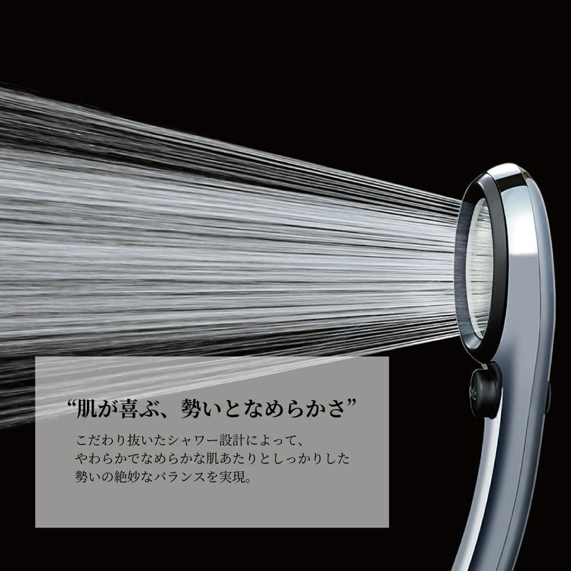 SANEI 節水シャワーセット レイニーメタリック PS303-CTMA-CD