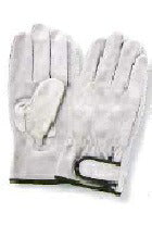 富士グローブ 床皮マジック付 ３双組Ｌ