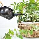 プラスワンスタイル 一花 撫子-Nadeshiko- F06 水差し【受注生産品 納期別途ご連絡】