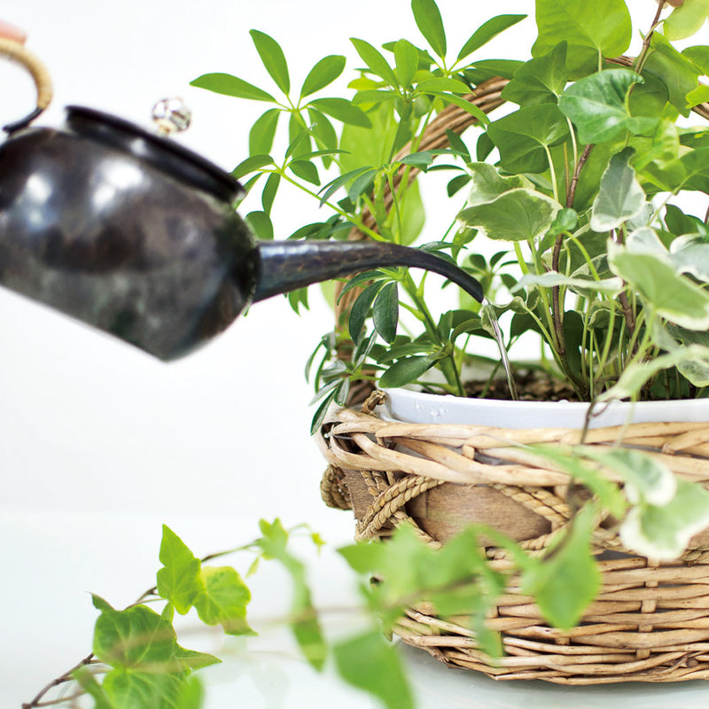 プラスワンスタイル 一花 撫子-Nadeshiko- F06 水差し【受注生産品 納期別途ご連絡】